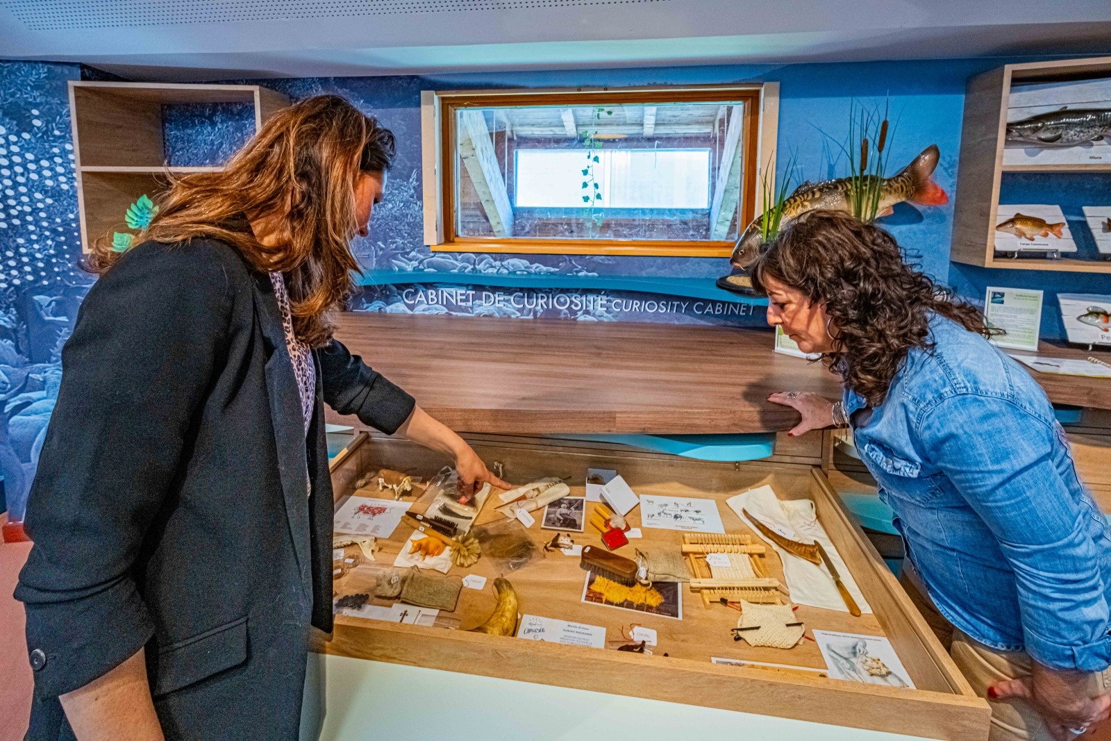 Espace découverte de la Maison du Lac