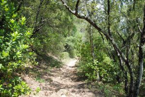 Montauroux – Trail Naturatrail