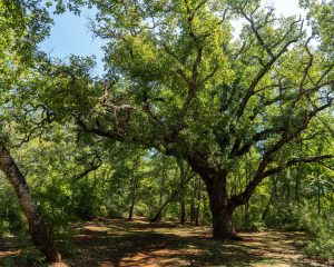 Balade Photovoltaïque