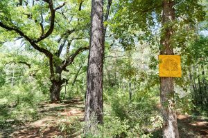 Balade Photovoltaïque