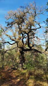 Balade Photovoltaïque