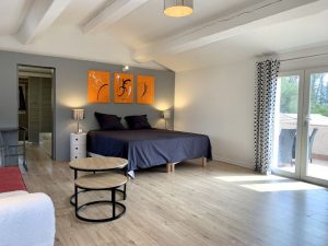 CHO la Salamandre en provence