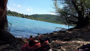 Rive du lac de saint-Cassien