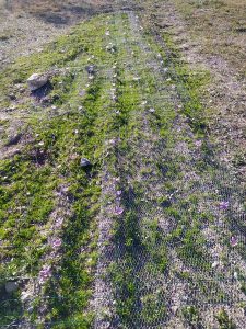 Provence Service Truffe 3