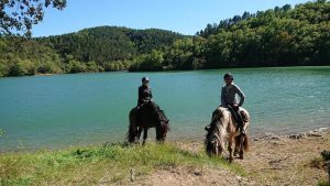 balade a cheval au bord du lac de saint cassien