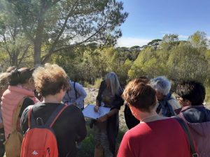 Sortie botanique avec Marjorie Ughetto