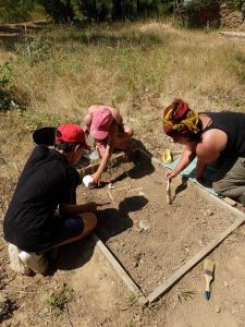 Atelier Carex Bagnols-en-Forêt