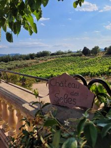 Domaine des Selves