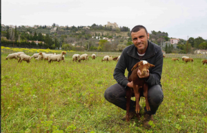 L’Agneau du Pays Fayençois_Tourrettes