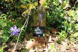 Domaine viticole Le Mas Ricardenque_Callian