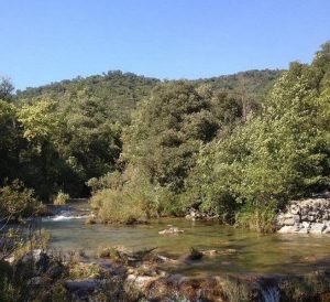 La Siagne coté Tanneron
