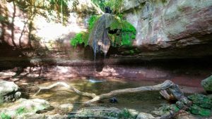 Promenade : Cascade de Gourbachin – Bagnols-en-forêt_Bagnols-en-Forêt