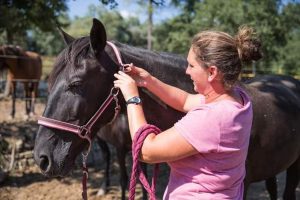 Balade Haras des Villards