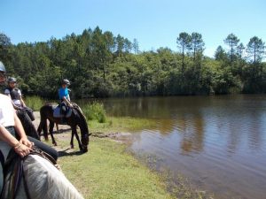 Journée détente à cheval/poney