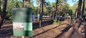 Carex Balades Archéo