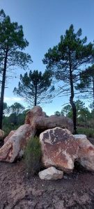 Carex Balades Archéo