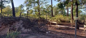 Carex Balades Archéo