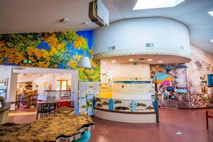 Maison du Lac de Saint Cassien