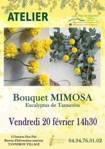 Ateliers à l’Oustaou dòu païs: saison du mimosa_Tanneron