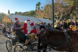 Marché de Noël_Seillans
