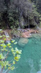 Les gorges de la Siagne – Espace Natura 2000_Montauroux