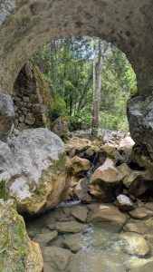 Les gorges de la Siagne – Espace Natura 2000_Montauroux