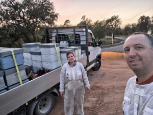 Le rucher de Florent Apiculteurs