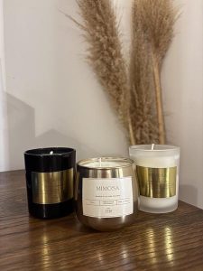 FranceEucaMimosa_Tanneron