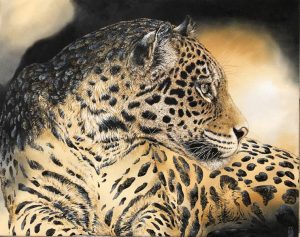 Esprit jaguar 73 x 93