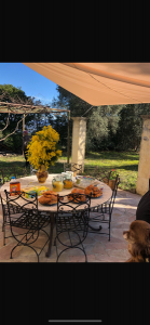 Mimosa Tour 4X4 à Tanneron_Tanneron