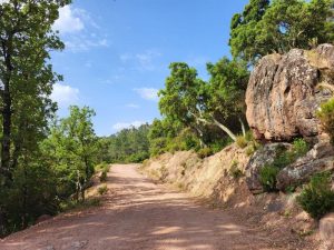 Promenade  La Pierre du Coucou – Bagnols-en-Forêt_Bagnols-en-Forêt
