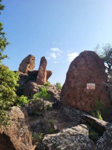 Promenade  La Pierre du Coucou – Bagnols-en-Forêt_Bagnols-en-Forêt