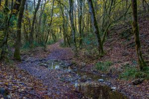 Promenade : Cascade de Gourbachin – Bagnols-en-forêt_Bagnols-en-Forêt