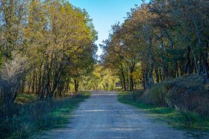 Promenade : Le lac de Méaulx – Saint-Paul-en-Forêt_Saint-Paul-en-Forêt