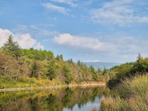 Promenade : Le lac de Méaulx – Saint-Paul-en-Forêt_Saint-Paul-en-Forêt