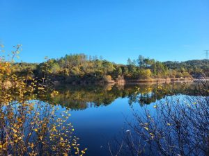 Promenade : Le Lac du Rioutard – Saint-Paul-en-Forêt_Saint-Paul-en-Forêt