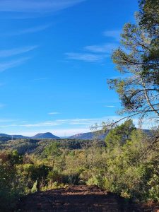 Promenade : Le Lac du Rioutard – Saint-Paul-en-Forêt_Saint-Paul-en-Forêt