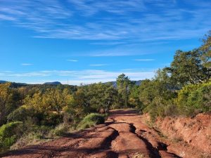 Promenade : Le Lac du Rioutard – Saint-Paul-en-Forêt_Saint-Paul-en-Forêt