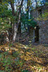 Promenade : La Forêt Royale – Saint-Paul-en-Forêt_Saint-Paul-en-Forêt