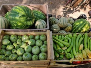 Felix Paysan_Callian