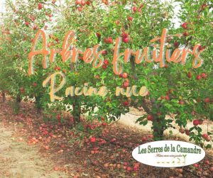 Les Serres de La Camandre_Fayence