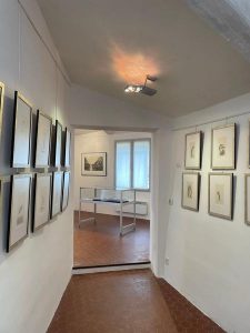 Visite commentée des Collections Max Ernst, Dorothea Tanning et Stan Appenzeller_Seillans