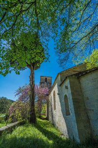 Visite commentée de la Chapelle Notre-Dame de l&rsquo;Ormeau_Seillans