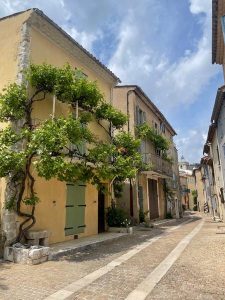 GR®49 Sentier de Grande Randonnée_Montauroux