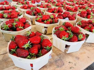 Dégustation de ¨Printemps au Marché Paysan de la Ferme du Laquet_Tourrettes