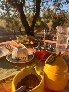 La Bastide des Crinières Argentées – Gîte la Grange_Mons