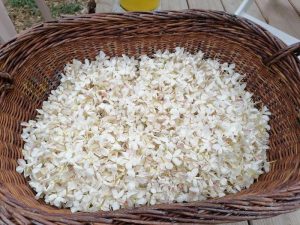 Visites de la passion en Pays de Fayence