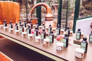 Le doux parfum du mimosa_Tanneron