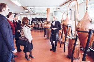 Le doux parfum du mimosa_Tanneron