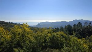 Randonnée mimosa privée à Tanneron_Tanneron